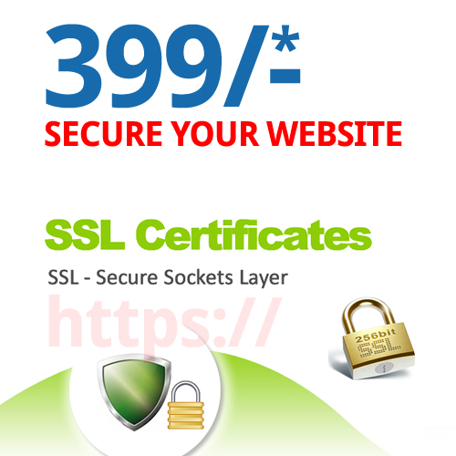 SSL, SSL in 99, Secure my Webiste